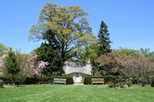 Tree-Service-in-Verona-NJ